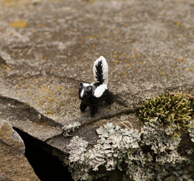 Skunk ring hotsell