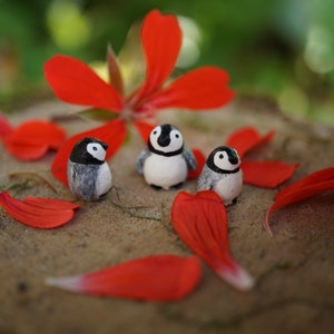 micro penguin, miniature penguin figurine, clay penguin, penguin baby, collectable, terrarium miniature decoration, fairy garden decoration