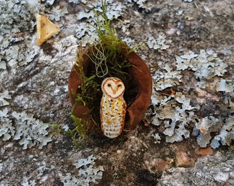 Miniature barn owl in a nutshell, miniature barn owl, miniature owl