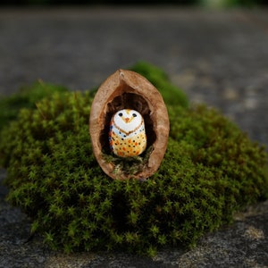 Miniature owl, heart shaped head barn owl, owl in the walnut shell, miniature barn owl in the walnut shell image 2