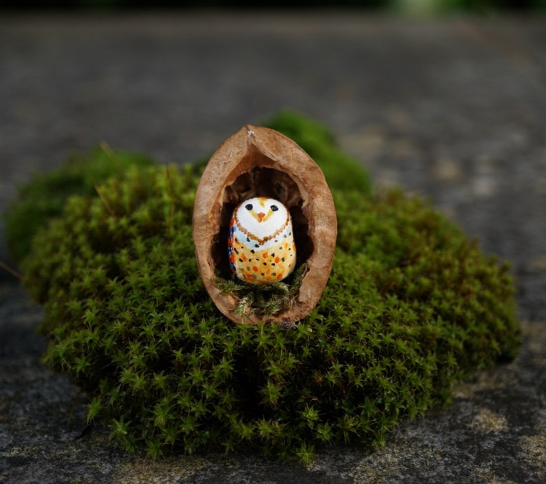 Miniature owl, heart shaped head barn owl, owl in the walnut shell, miniature barn owl in the walnut shell image 2