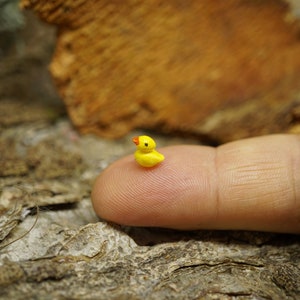 Miniature duckling, micro duckling, miniature duck, miniature bird