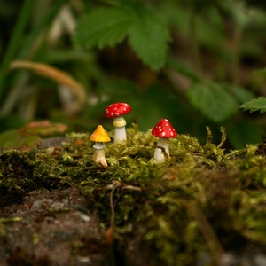 Set of 4 amanitas, Miniature amanita mushrooms, miniature mushrooms, clay mushrooms, fairy garden, terrarium decoration