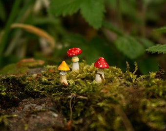 Ensemble de 4 amanites, champignons amanites miniatures, champignons miniatures, champignons d’argile, jardin de fées, décoration de terrarium