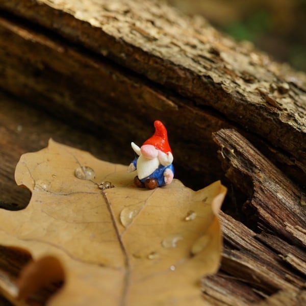 Tiny gnome, miniature gnome, cute gnome, clay gnome, handmade gnome, fairy garden decoration