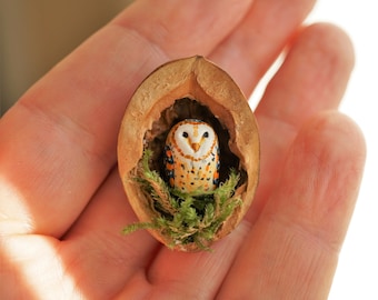 Miniature owl, heart shaped head barn owl, owl in the walnut shell, miniature barn owl in the walnut shell