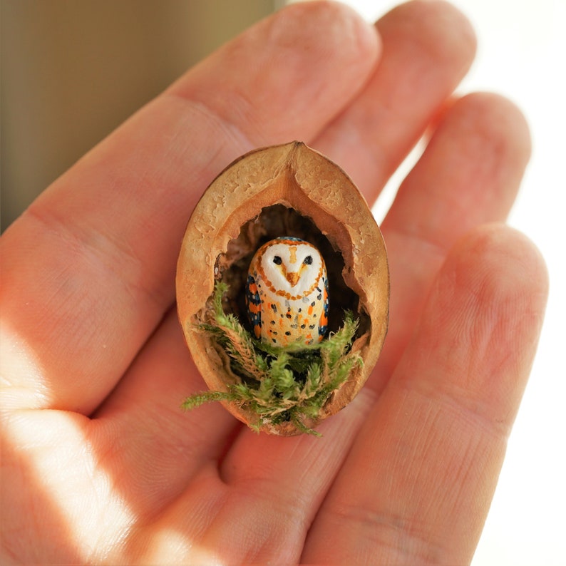 Miniature owl, heart shaped head barn owl, owl in the walnut shell, miniature barn owl in the walnut shell image 1