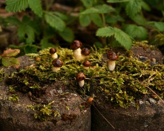 Cèpes miniatures, champignons miniatures, champignons d'argile, cèpes d'argile, jardin de fées