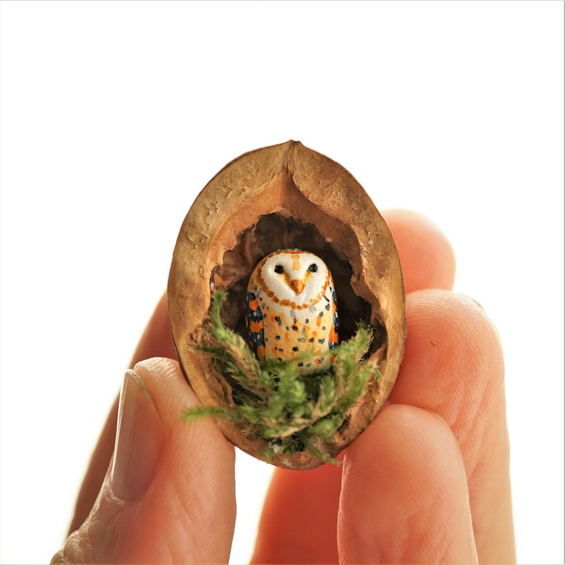 Miniature owl, heart shaped head barn owl, owl in the walnut shell, miniature barn owl in the walnut shell image 3
