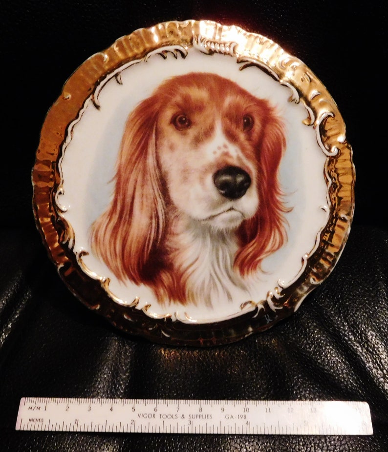 Vintage Cocker Spaniel Dog Plate Plaque Wall Hang 6 38 Beautiful Unusual Gold Gilt Rim High Relief