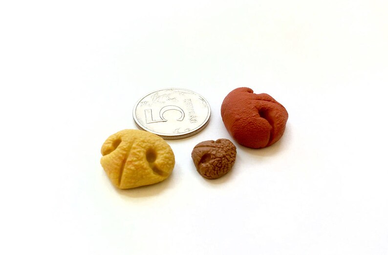 Mould 463 Three dog's noses mold for clay doll making Etsy