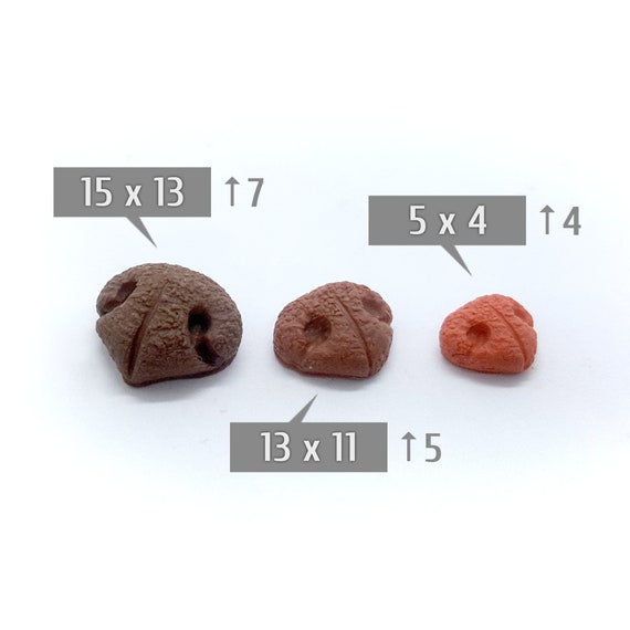 Mould #463 Three dog/'s noses mold for clay doll making