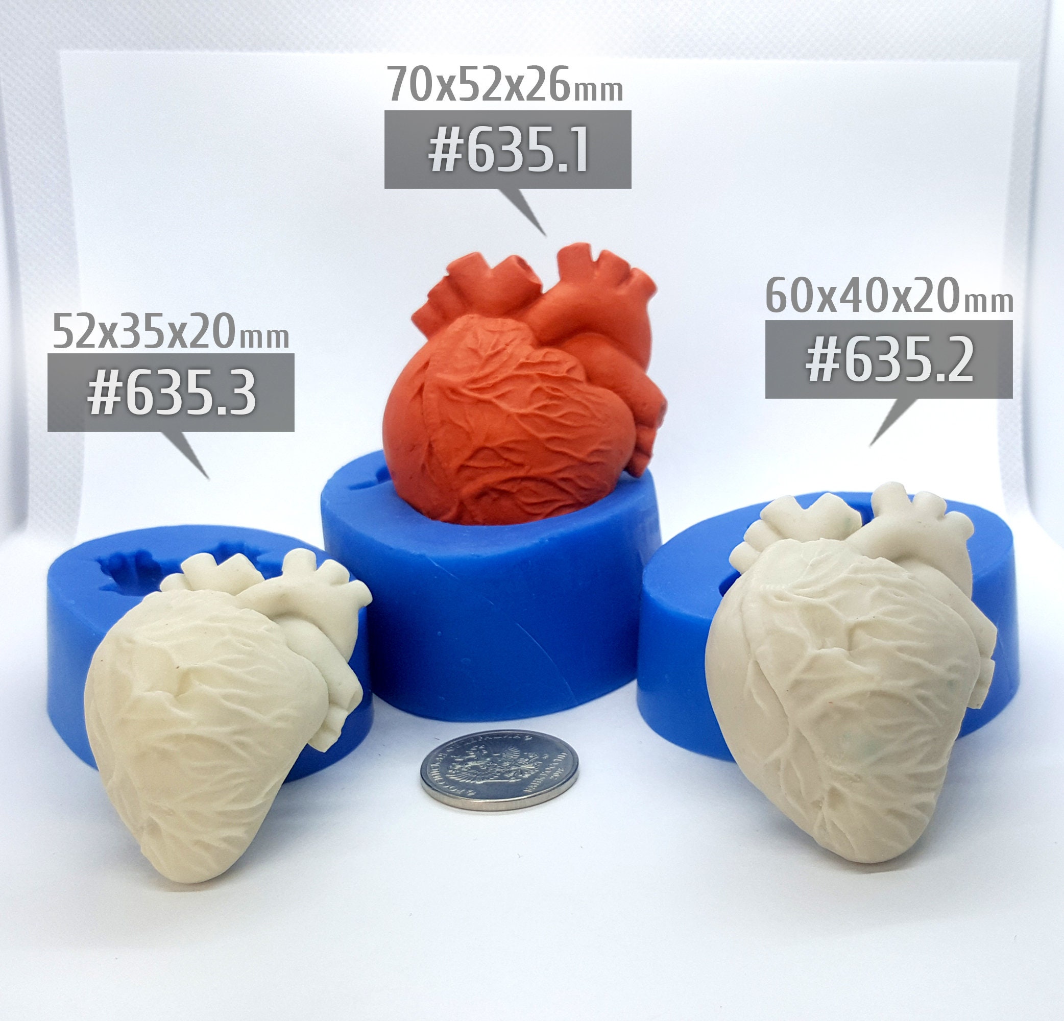 Moulds 635 Anatomical Heart Mold for Clay Resin Etsy