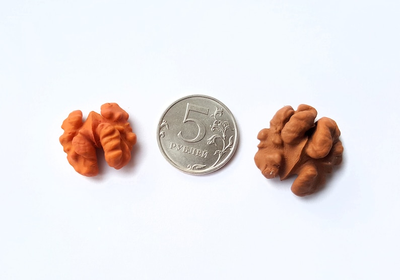 Mould #589 \u2014 Walnut Nuts mold for clay resin