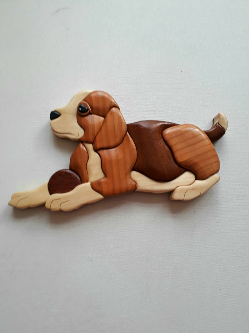 beagle dogs free to good home