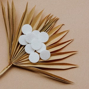 May include: A dried palm leaf with a cluster of white cotton rounds on top, against a light brown background.