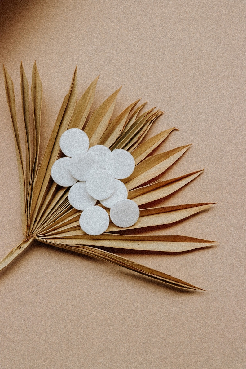 May include: A dried palm leaf with a cluster of white cotton rounds on top, against a light brown background.