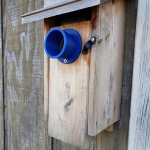 May include: A wooden birdhouse with a blue plastic entrance hole and a black metal latch. The birdhouse is mounted on a wooden wall.