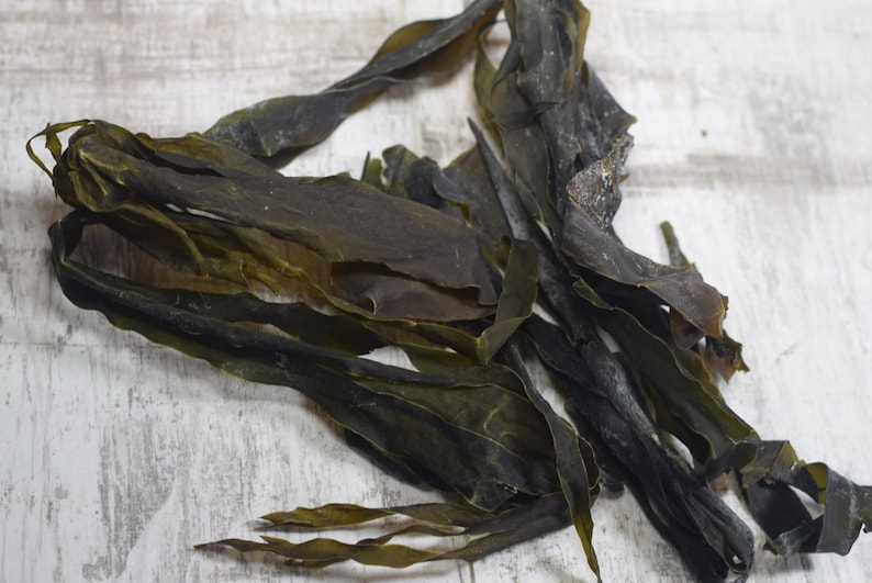 Seaweed Dried Kombu Organic Kelp Superfood Picked and Natural Etsy Sweden