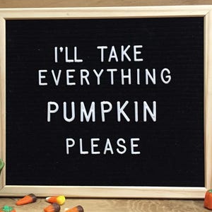May include: A black felt letter board with a white wooden frame. The board displays the text "I'll take everything pumpkin please".