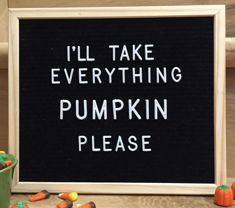May include: A black felt letter board with a white wooden frame. The board displays the text "I'll take everything pumpkin please".