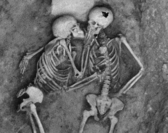 Morbid Embrace