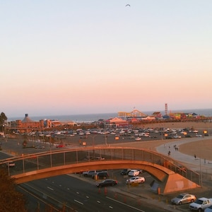 Nature and Man in Santa Monica