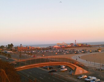 Nature and Man in Santa Monica