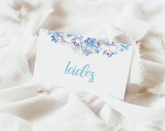Frozen Birthday Party Place Cards, Frozen Escort Cards, Frozen Name Cards, Frozen Birthday Decor, Frozen Party Food Label Tent Cards, A013