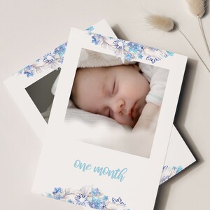 Frozen Monthly Photo Banner, Frozen Baby's First Year Banner, Frozen Birthday Banner, Frozen 1st Birthday, Frozen Birthday Party Decor, A013