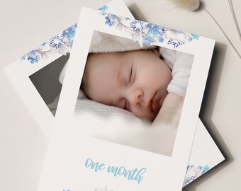 Estandarte de fotos mensual congelado, estandarte del primer año del bebé congelado, estandarte de cumpleaños congelado, 1er cumpleaños congelado, decoración de fiesta de cumpleaños congelada, A013