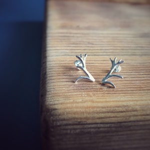 Antler earrings. Silver Stud Earrings. Stag earrings made by Riley In The Garden, Sarah Fleming Jeweller
