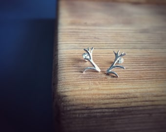 Antler earrings. Silver Stud Earrings. Stag earrings made by Riley In The Garden, Sarah Fleming Jeweller