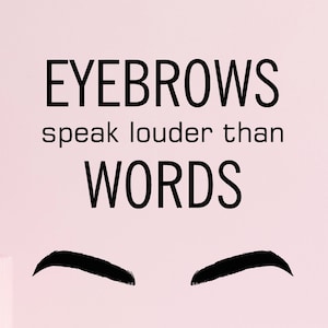 Eyebrows Vinyl Wall Decal Makeup Brow Artist Beauty Studio Stickers Mural (#4187dg)