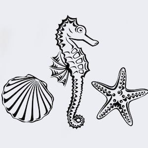 Vinyl Wandtattoo Seepferdchen, Seesterne, Meerwassertiere, Wandtattoo, Muschel, Muschel, Muschel, Muschel, Dekoration (#2272di)