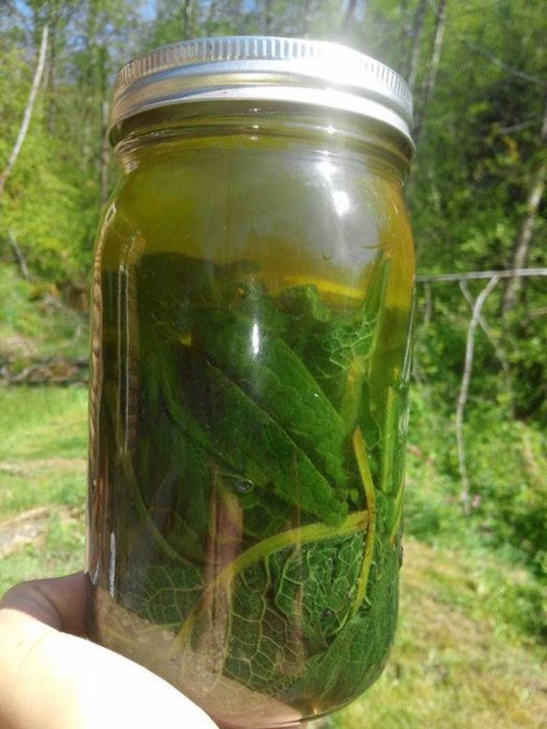 May include: A glass jar filled with green leaves and a clear liquid. The jar has a silver lid.