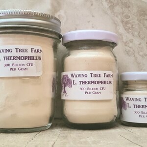 May include: Three glass jars with white lids containing a beige powder. The labels on the jars read "Waving Tree Farm L. Thermophilus 300 Billion CFU Per Gram".