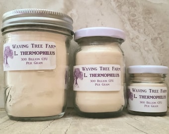 S. thermophilus **300 Billion CFU per Gram**