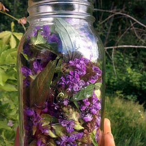 May include: A glass jar filled with purple flowers and green leaves. The jar is clear and has a wide mouth. The flowers are in bloom and the leaves are fresh.