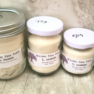 May include: Four glass jars with white lids containing a white powder. The jars are labeled "Waving Tree Farm L. Gasseri 100 Billion CFU per gram". The jars are arranged in a row from largest to smallest. The lids are labeled with numbers: 1209, 759, 509.