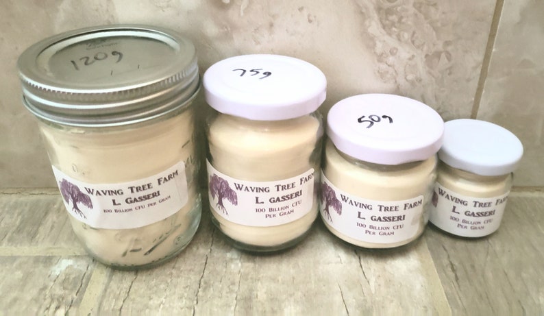 May include: Four glass jars with white lids containing a white powder. The jars are labeled "Waving Tree Farm L. Gasseri 100 Billion CFU per gram". The jars are arranged in a row from largest to smallest. The lids are labeled with numbers: 1209, 759, 509.