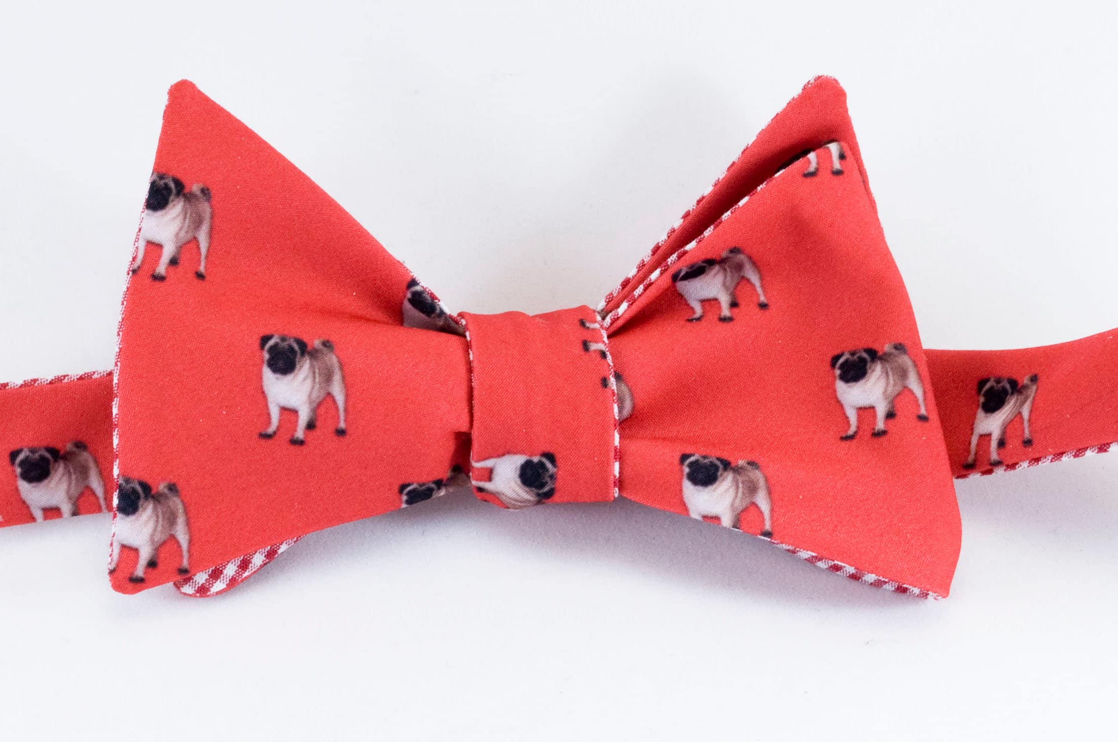bow tie for pug