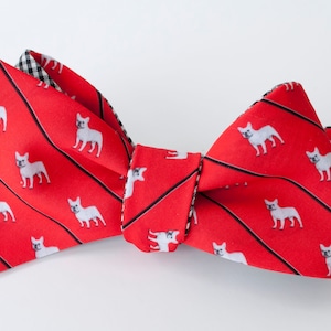 French Bulldog Bow Tie - white dog