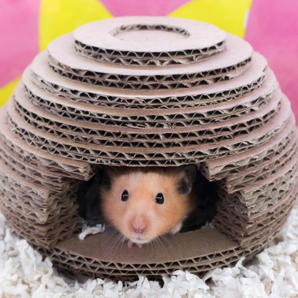 DIY Cardboard Beehive Hamster House