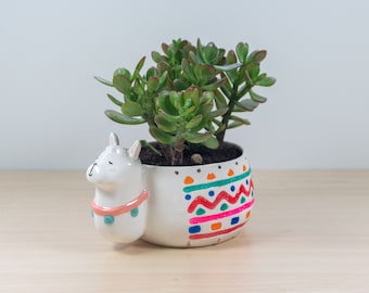 Vaso per lama fatto a mano: vaso per piante grasse in ceramica con oro 24k
