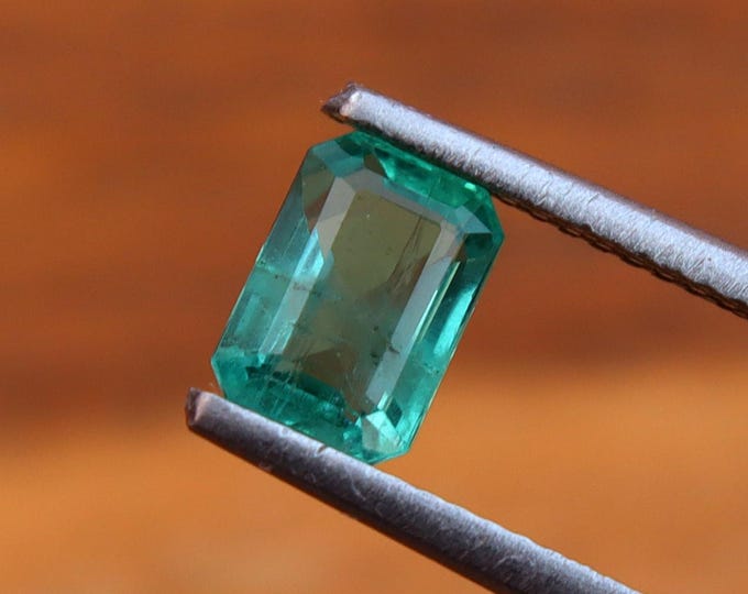 GSI Certified Natural Emerald 0.96 carat Octagon Cut Gemstone