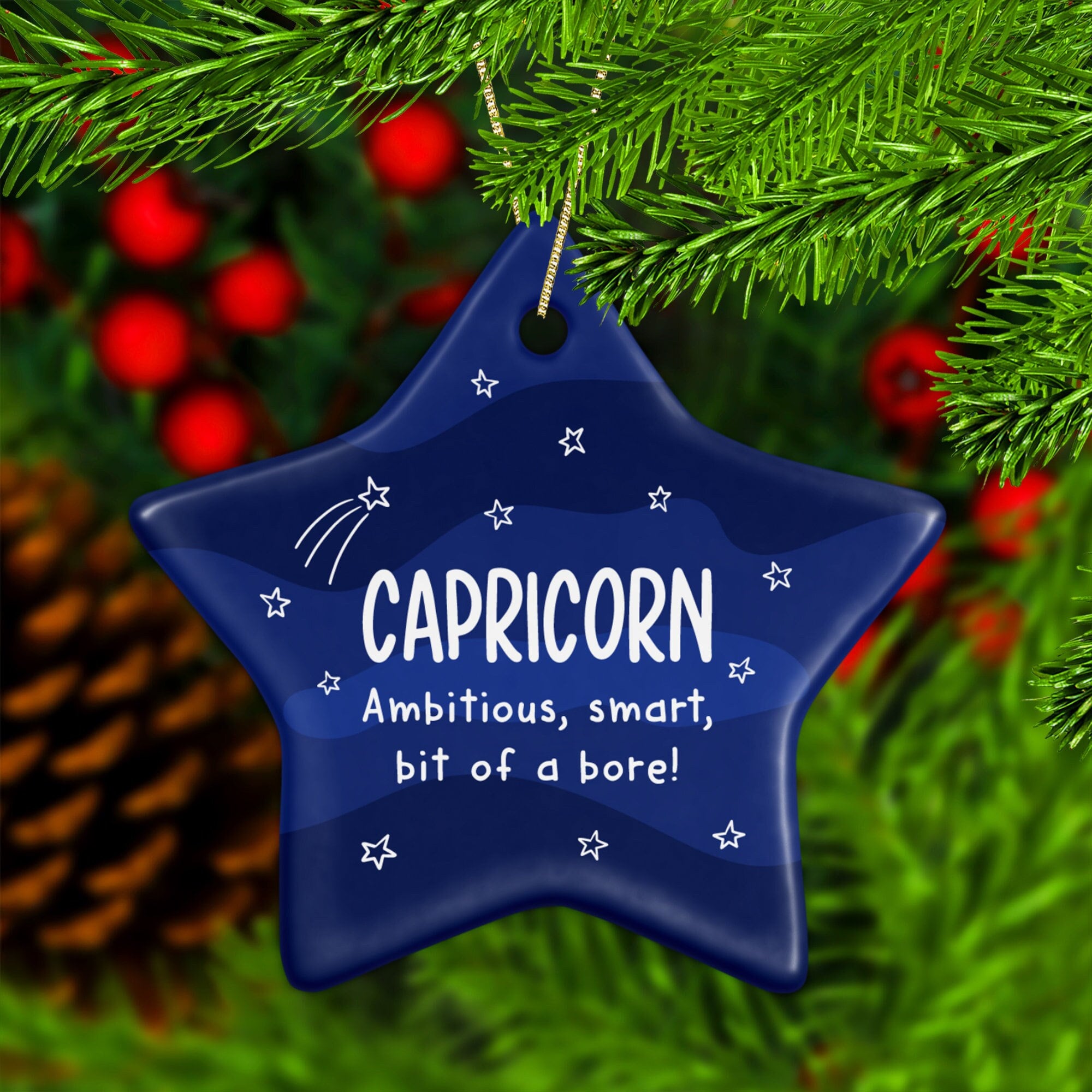 Capricorn Christmas Gift January Birthday Gift December Etsy UK