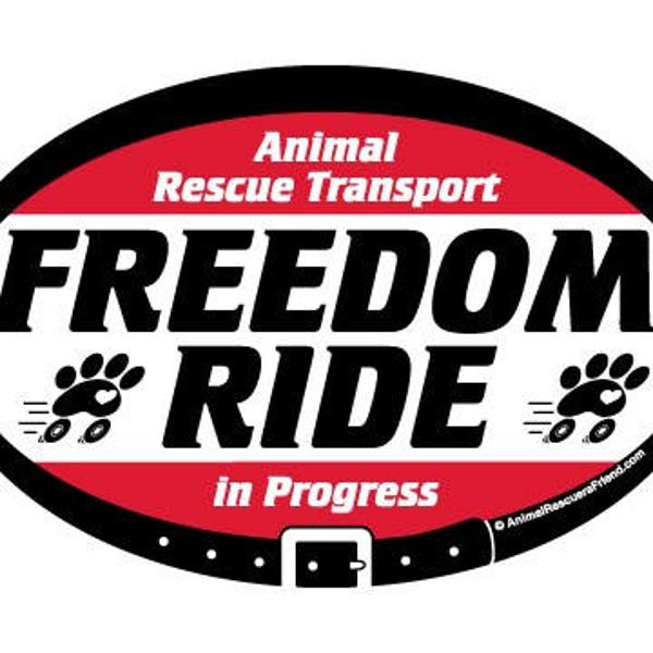 MAGNET - Freedom Ride in Progress - Euro Pet 4x6 Oval Car MAGNET - Animal Rescue Transport - Cat Dog Lover Gift - Donates to Animal Rescue