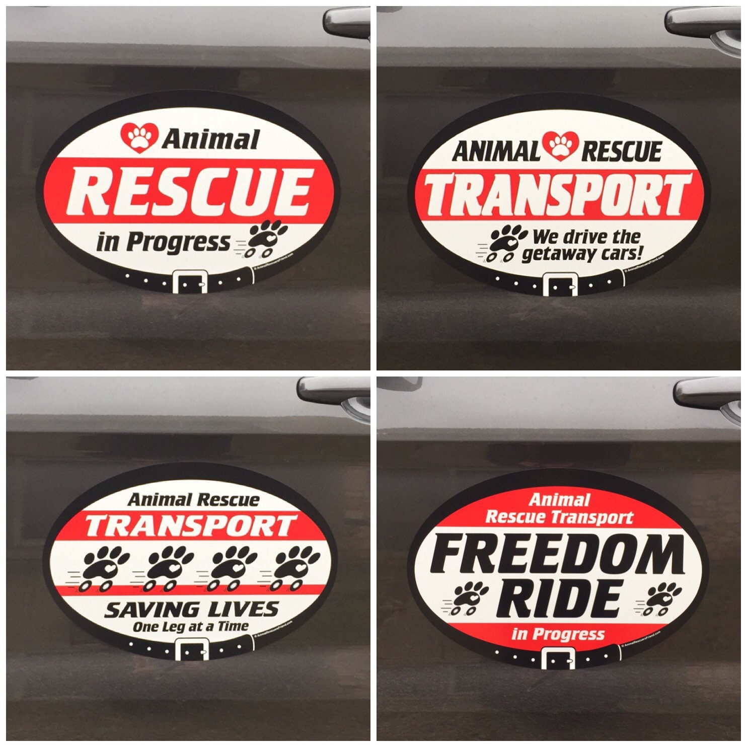 VEHICLE SIGN Freedom Ride in Progress Animal Rescue - Etsy