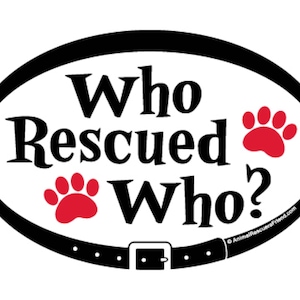 May include: Black and white oval sticker with the text "Who Rescued Who?" in a bold font. Two red paw prints are on either side of the text. The sticker has a black belt with a silver buckle at the bottom.